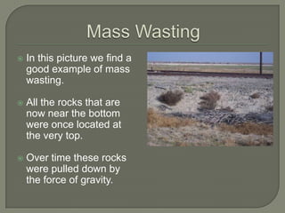Mass WastingIn this picture we find a good example of mass wasting.All the rocks that are now near the bottom were once located at the very top.Over time these rocks were pulled down by the force of gravity.