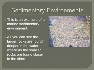 Sedimentary EnvironmentsThis is an example of a marine sedimentary environment.As you can see the larger rocks are found deeper in the water where as the smaller rocks are found closer to the shore.