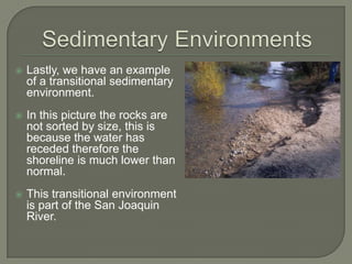 Sedimentary EnvironmentsLastly, we have an example of a transitional sedimentary environment. In this picture the rocks are not sorted by size, this is because the water has receded therefore the shoreline is much lower than normal.This transitional environment is part of the San Joaquin River.