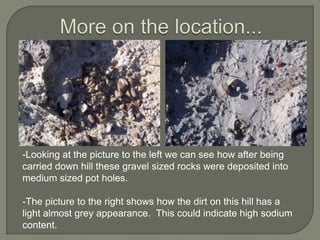 More on the location...-Looking at the picture to the left we can see how after being carried down hill these gravel sized rocks were deposited into medium sized pot holes.-The picture to the right shows how the dirt on this hill has a light almost grey appearance.  This could indicate high sodium content. 