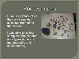 Rock SamplesHere is a picture of all the rock samples I collected from off of the hillside.I was able to collect samples from all three rock types (igneous, metamorphic and sedimentary). 