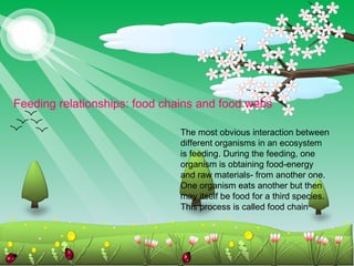 food chains and food webs Biology Diagrams