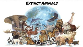 Extinct Animals
 