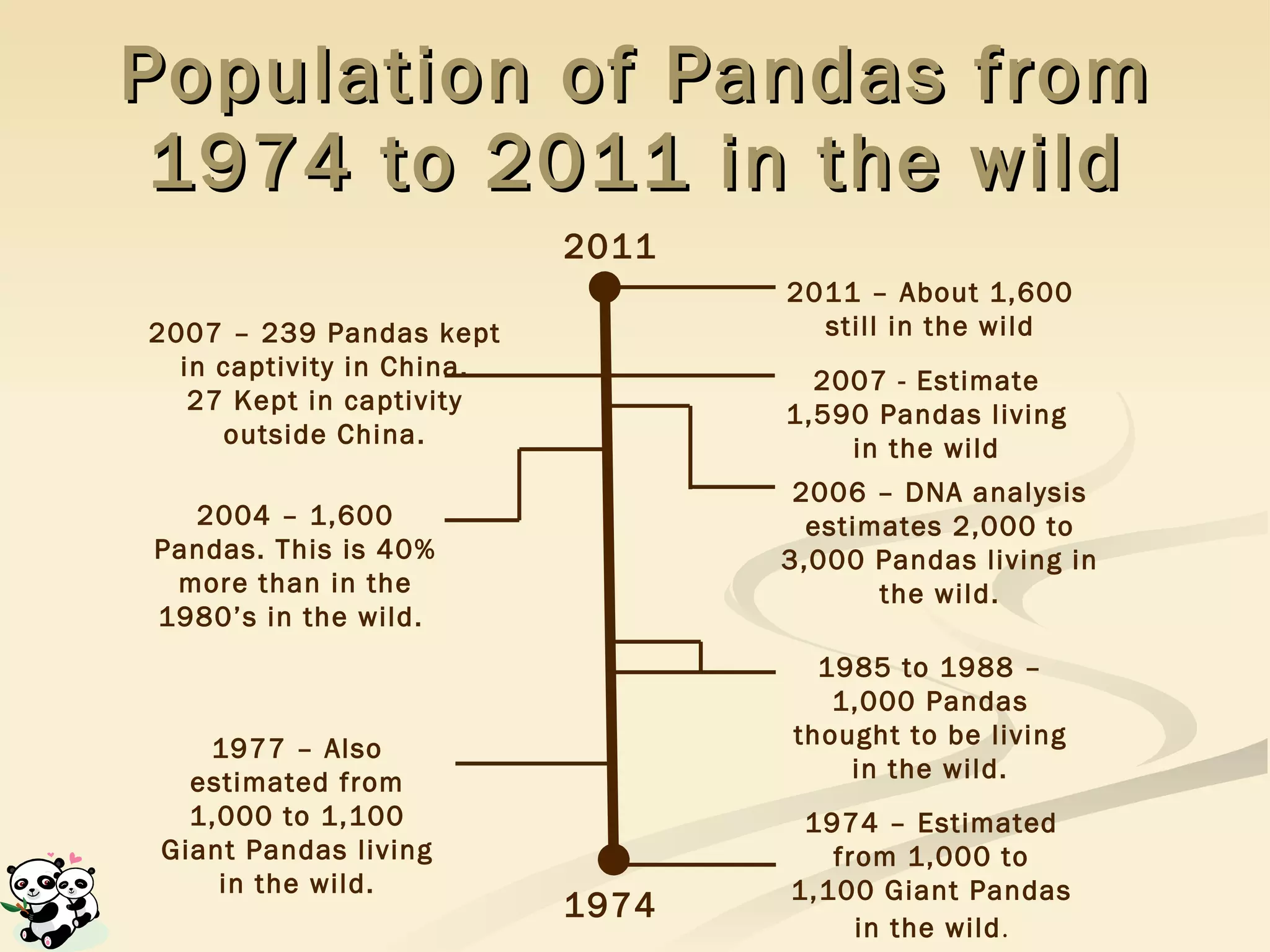 Population of Pandas from 1974 to 2011 in the wild 1974 – Estimated from 1,000 to 1,100 Giant Pandas in the wild . 1974 2006 – DNA analysis estimates 2,000 to 3,000 Pandas living in the wild. 2007 – 239 Pandas kept in captivity in China. 27 Kept in captivity outside China. 2007 - Estimate 1,590 Pandas living in the wild 2004 – 1,600 Pandas. This is 40% more than in the 1980’s in the wild.  2011 1977 – Also estimated from 1,000 to 1,100 Giant Pandas living in the wild. 2011 – About 1,600 still in the wild 1985 to 1988 – 1,000 Pandas thought to be living in the wild. 