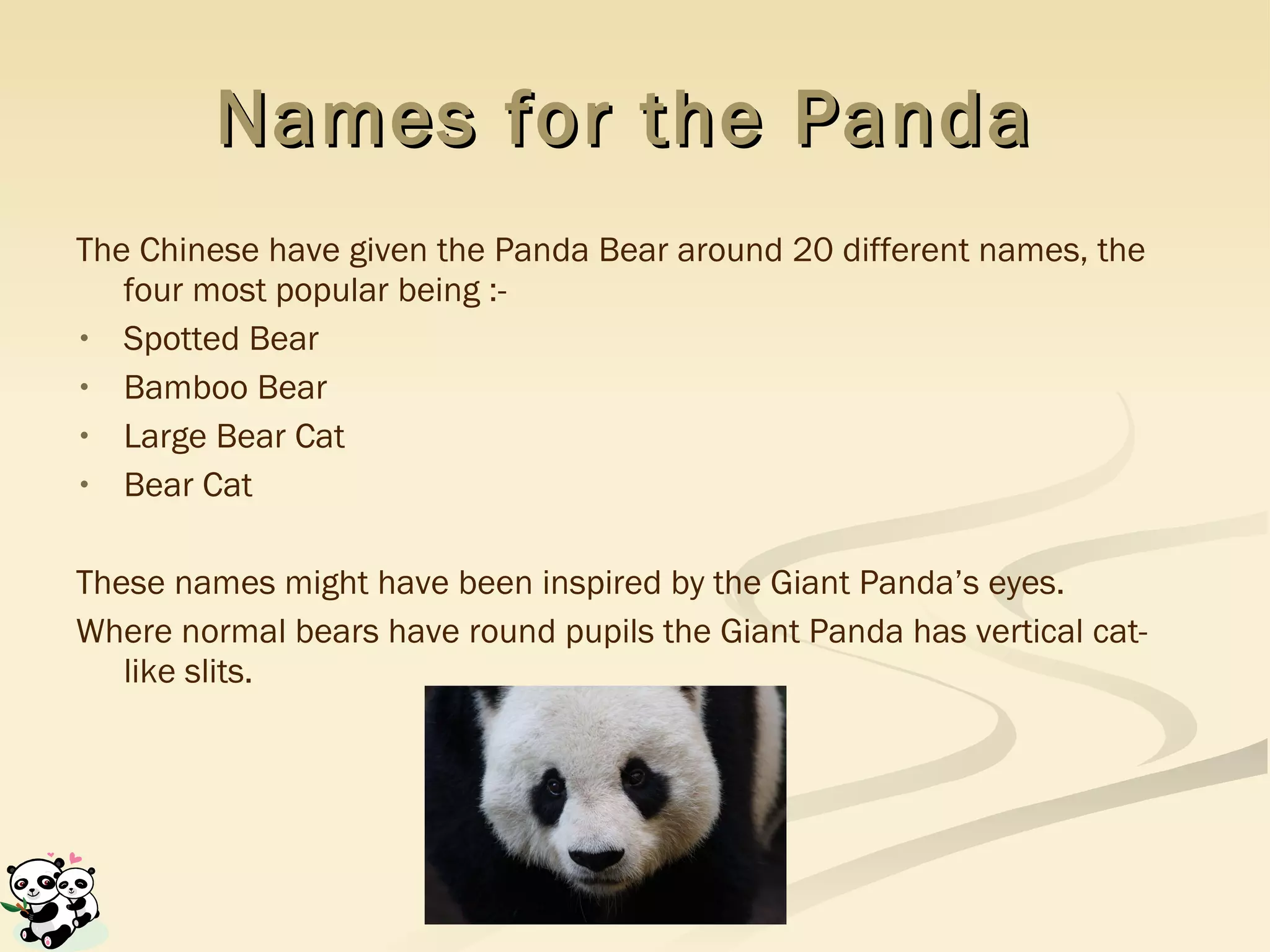 Names for the Panda   The Chinese have given the Panda Bear around 20 different names, the four most popular being :- Spotted Bear Bamboo Bear Large Bear Cat Bear Cat These names might have been inspired by the Giant Panda’s eyes.  Where normal bears have round pupils the Giant Panda has vertical cat-like slits.  