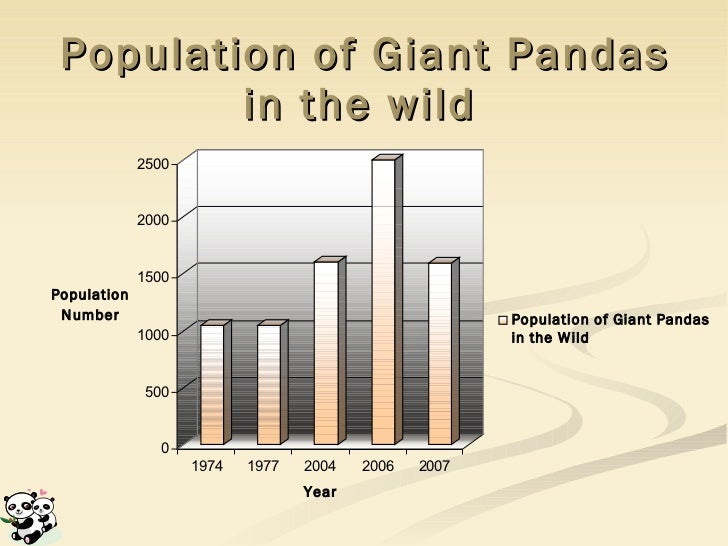 Panda Bear Population Chart