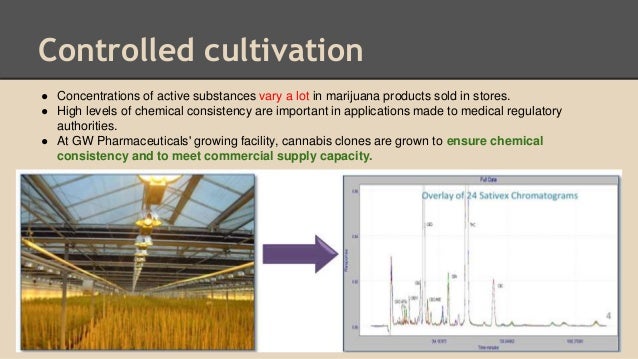 Gw Pharma World Leader In Cannabis Science Gw Pharma World Leader In Cannabis Science