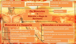 Definição de sistema muscularControlo do sistema muscularTipos de músculosOs MúsculosEsteróidesMúsculos, a Magia do MovimentoMúsculos e a locomoção Músculos e o DesportoMúsculos responsáveis pela locomoçãoFisiologia Muscular e alimentação MuscularComo e que os músculos movem os ossos?Desenvolvimento MuscularLesões musculares