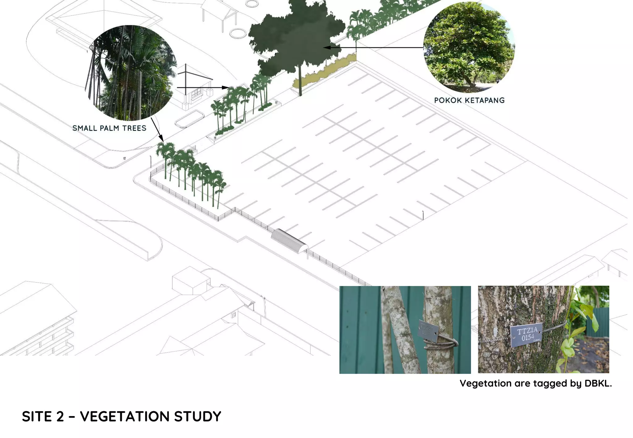 SITE 2 – VEGETATION STUDY
Vegetation are tagged by DBKL.
 