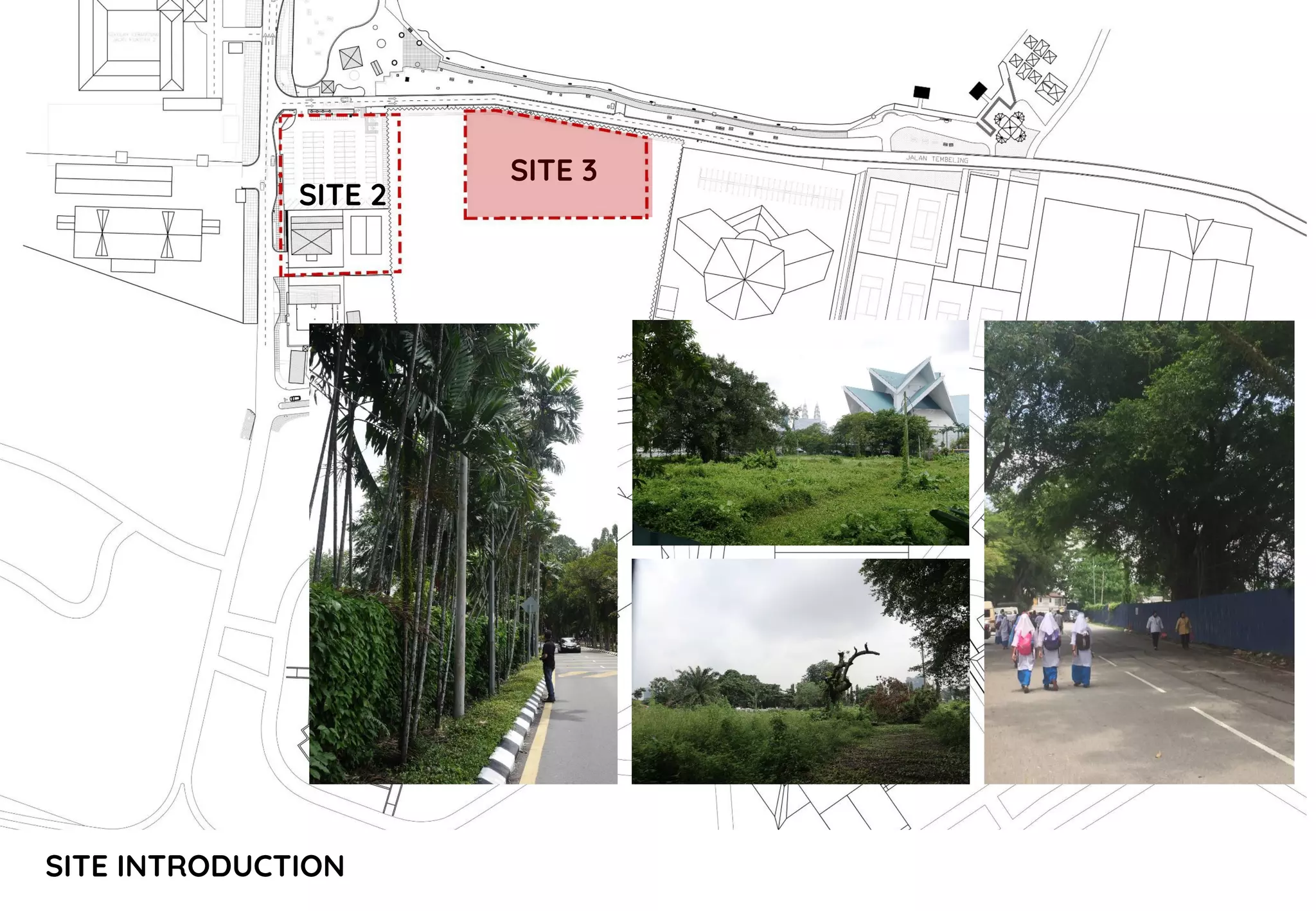 SITE INTRODUCTION
SITE 2
SITE 3
 