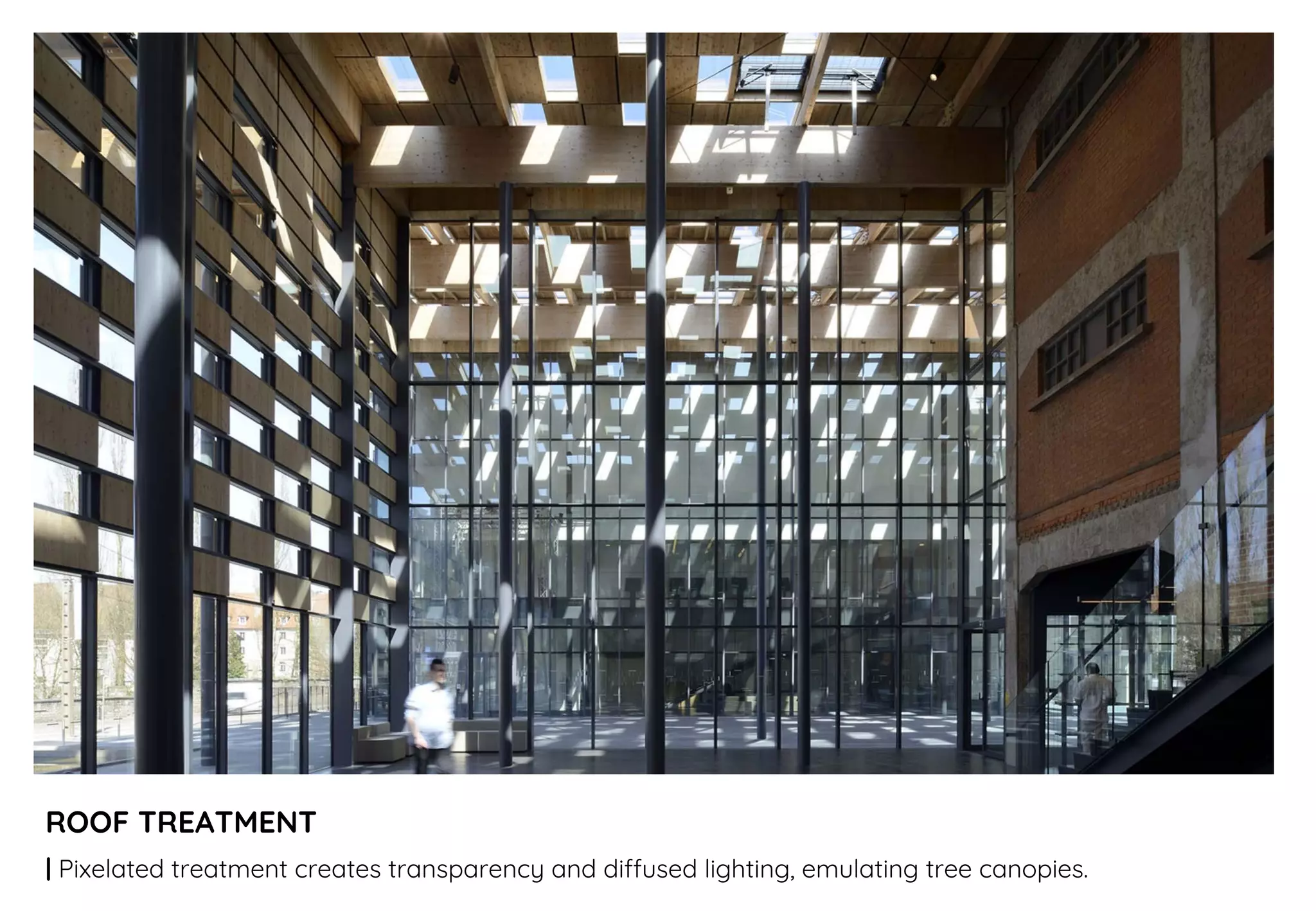 ROOF TREATMENT
| Pixelated treatment creates transparency and diffused lighting, emulating tree canopies.
 
