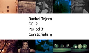 Rachel Tejero
DPI 2
Period 3
Curatorialism
 