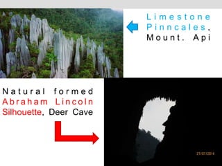 L i m e s t o n e
P i n n c a l e s ,
M o u n t . A p i
N a t u r a l f o r m e d
A b r a h a m L i n c o l n
Silhouette, Deer Cave
 