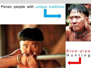 Penan people with unique traditions
B l o w - p i p e
H u n t i n g
 
