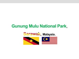 Gunung Mulu National Park,
, Malaysia.
 