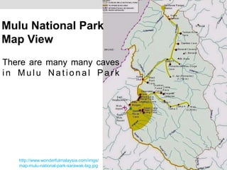 Mulu National Park
Map View
http://www.wonderfulmalaysia.com/imgs/
map-mulu-national-park-sarawak-big.jpg
There are many many caves
i n M u l u N a t i o n a l Pa r k
 