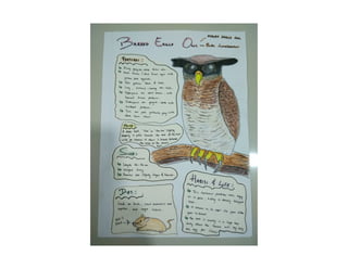 Project 1 (individual)