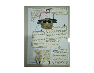 Project 1 (individual)
