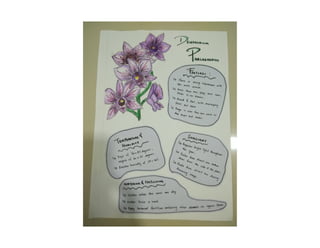 Project 1 (individual)