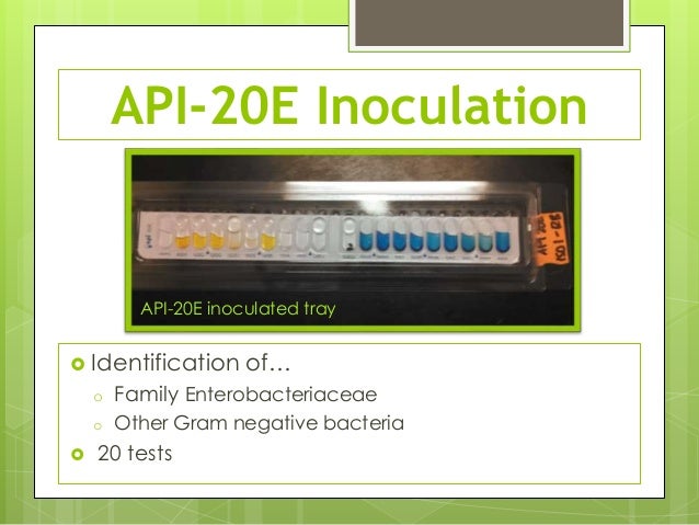 Isolation of Clostridium