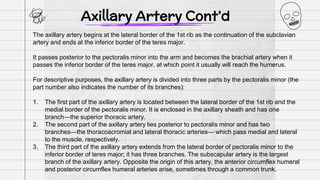 General Anatomy presentation slides on arteries | PPT
