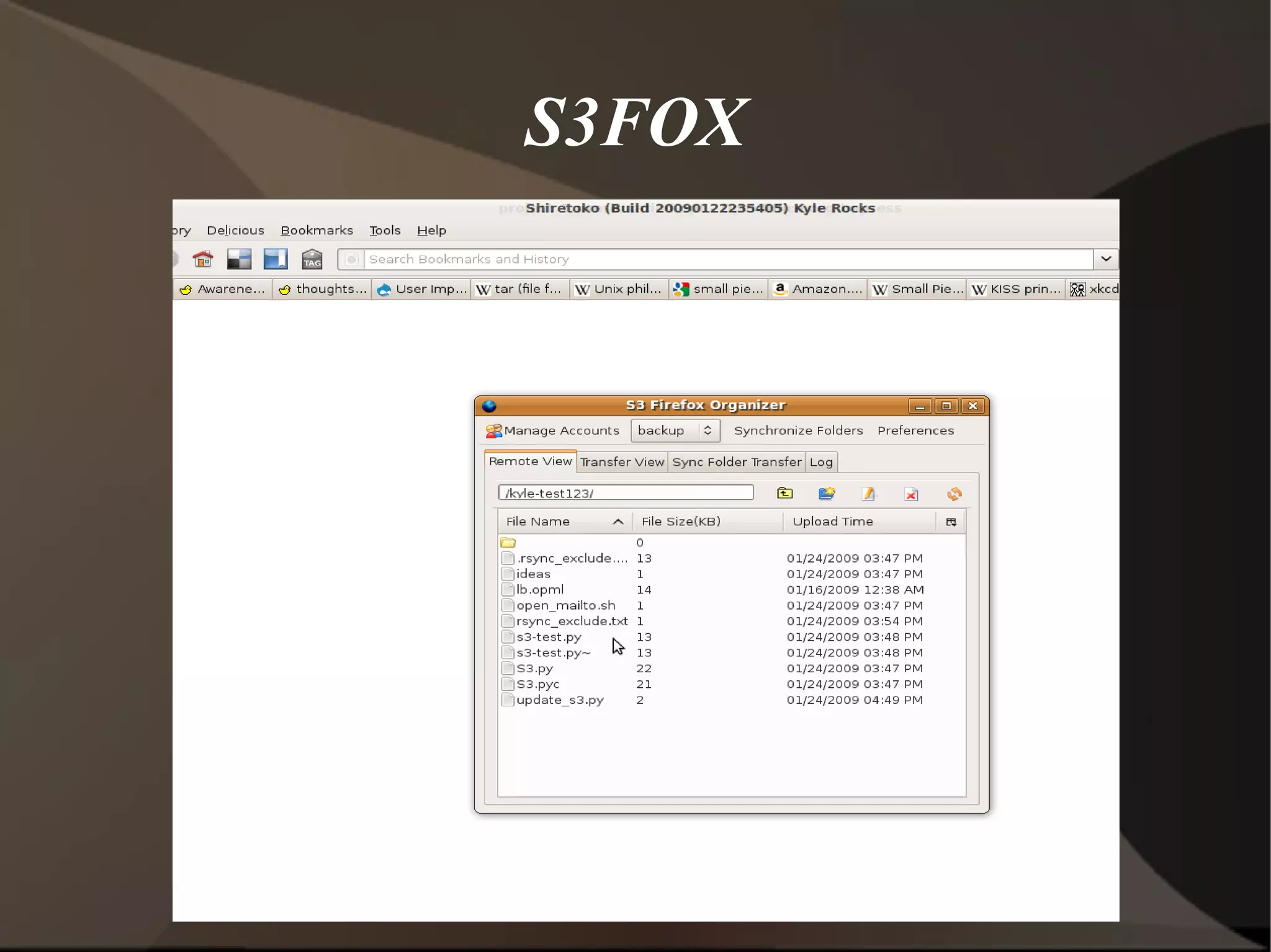 S3FOX 