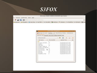 S3FOX 