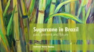 Sugarcane in Brazilpast, present and future 
Andreza Vieira Dantas 
for Energy and Society –Fall, 2014  