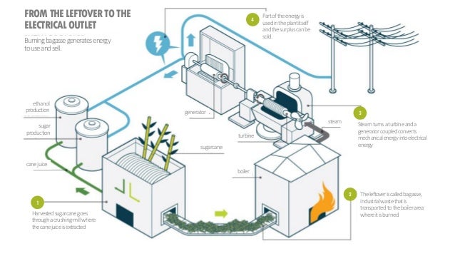  Extraction Of Sucrose From Sugarcane What s The Chemistry Of Sugar Chemical Reactions And 