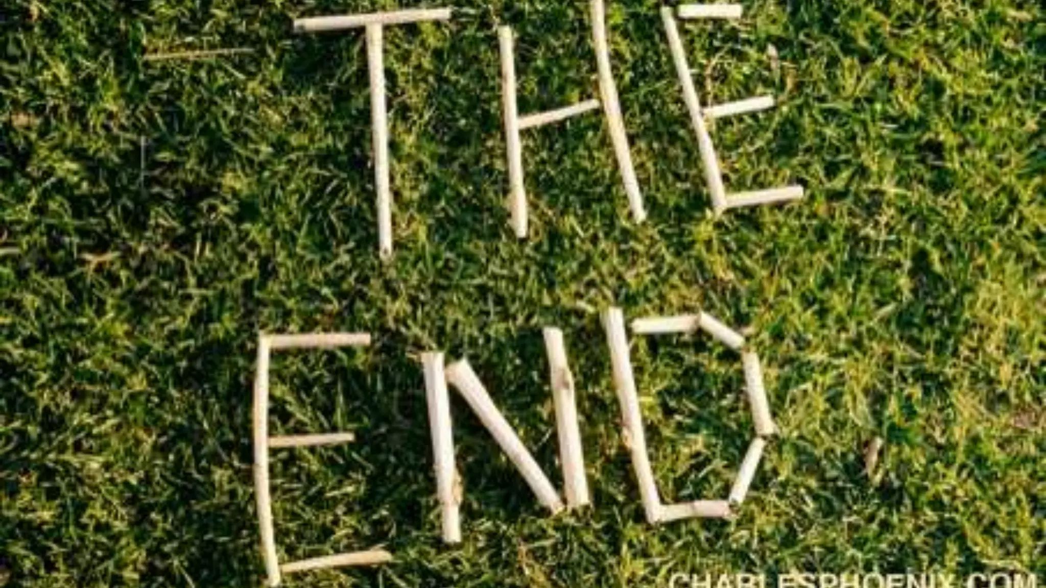 Project 1 product design