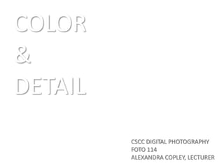 COLOR & DETAIL CSCC DIGITAL PHOTOGRAPHY FOTO 114 ALEXANDRA COPLEY, LECTURER 