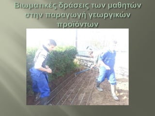 Ερευνητική εργασία Ά τάξης (σχ. έτος 2012-13)