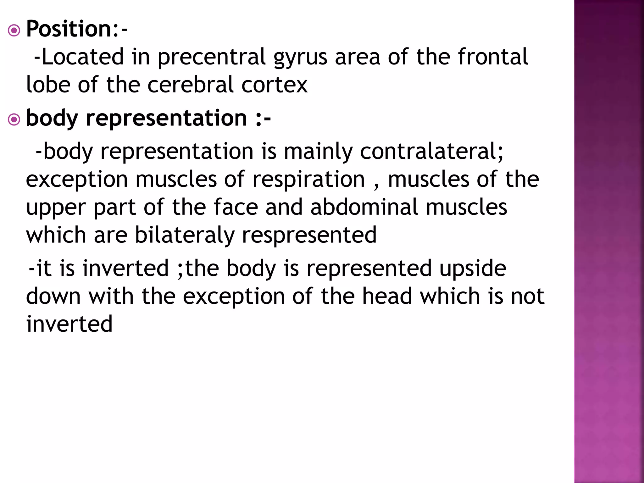  Position:-
-Located in precentral gyrus area of the frontal
lobe of the cerebral cortex
 body representation :-
-body representation is mainly contralateral;
exception muscles of respiration , muscles of the
upper part of the face and abdominal muscles
which are bilateraly respresented
-it is inverted ;the body is represented upside
down with the exception of the head which is not
inverted
 