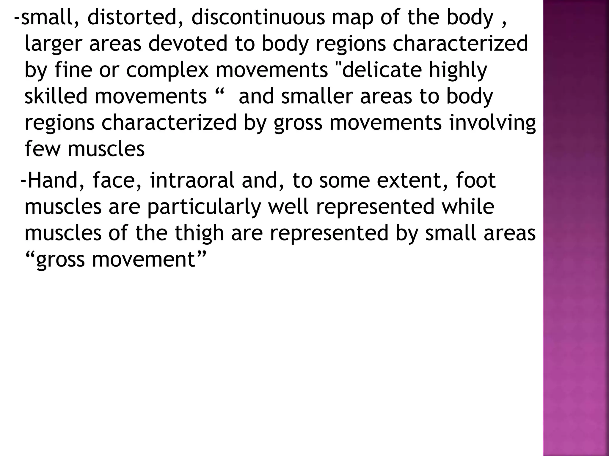 -small, distorted, discontinuous map of the body ,
larger areas devoted to body regions characterized
by fine or complex movements "delicate highly
skilled movements “ and smaller areas to body
regions characterized by gross movements involving
few muscles
-Hand, face, intraoral and, to some extent, foot
muscles are particularly well represented while
muscles of the thigh are represented by small areas
“gross movement”
 