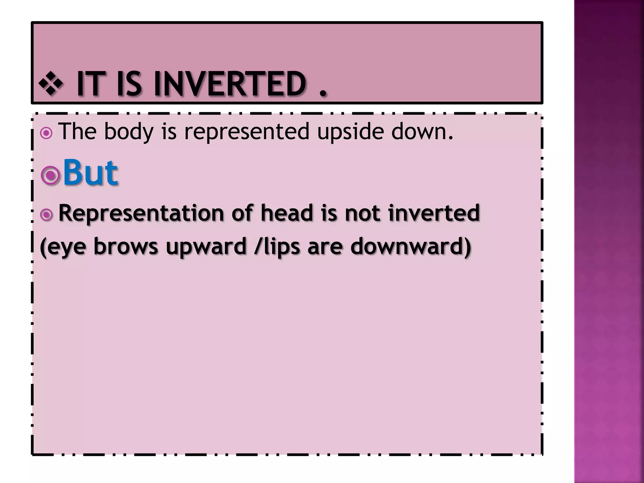  The body is represented upside down.
But
 Representation of head is not inverted
(eye brows upward /lips are downward)
 
