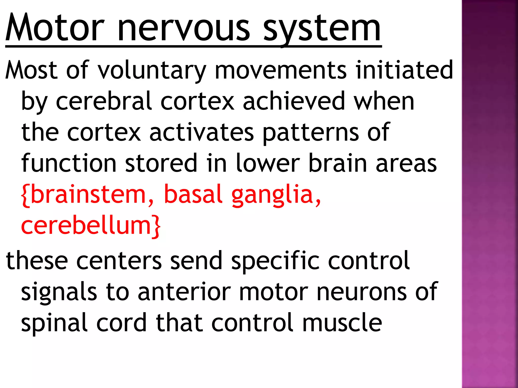 Motor nervous system
Most of voluntary movements initiated
by cerebral cortex achieved when
the cortex activates patterns of
function stored in lower brain areas
{brainstem, basal ganglia,
cerebellum}
these centers send specific control
signals to anterior motor neurons of
spinal cord that control muscle
 