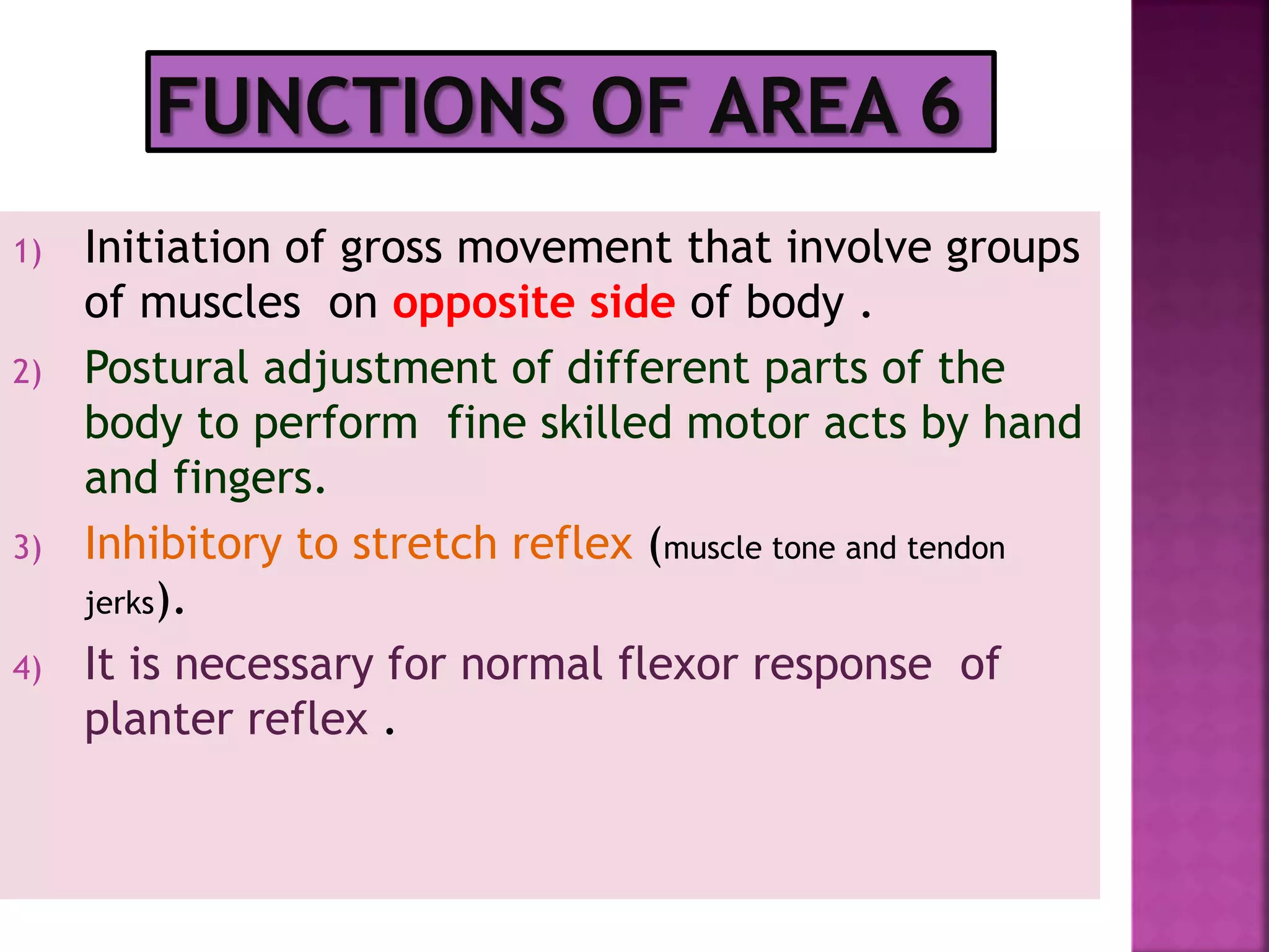 1) Initiation of gross movement that involve groups
of muscles on opposite side of body .
2) Postural adjustment of different parts of the
body to perform fine skilled motor acts by hand
and fingers.
3) Inhibitory to stretch reflex (muscle tone and tendon
jerks).
4) It is necessary for normal flexor response of
planter reflex .
 