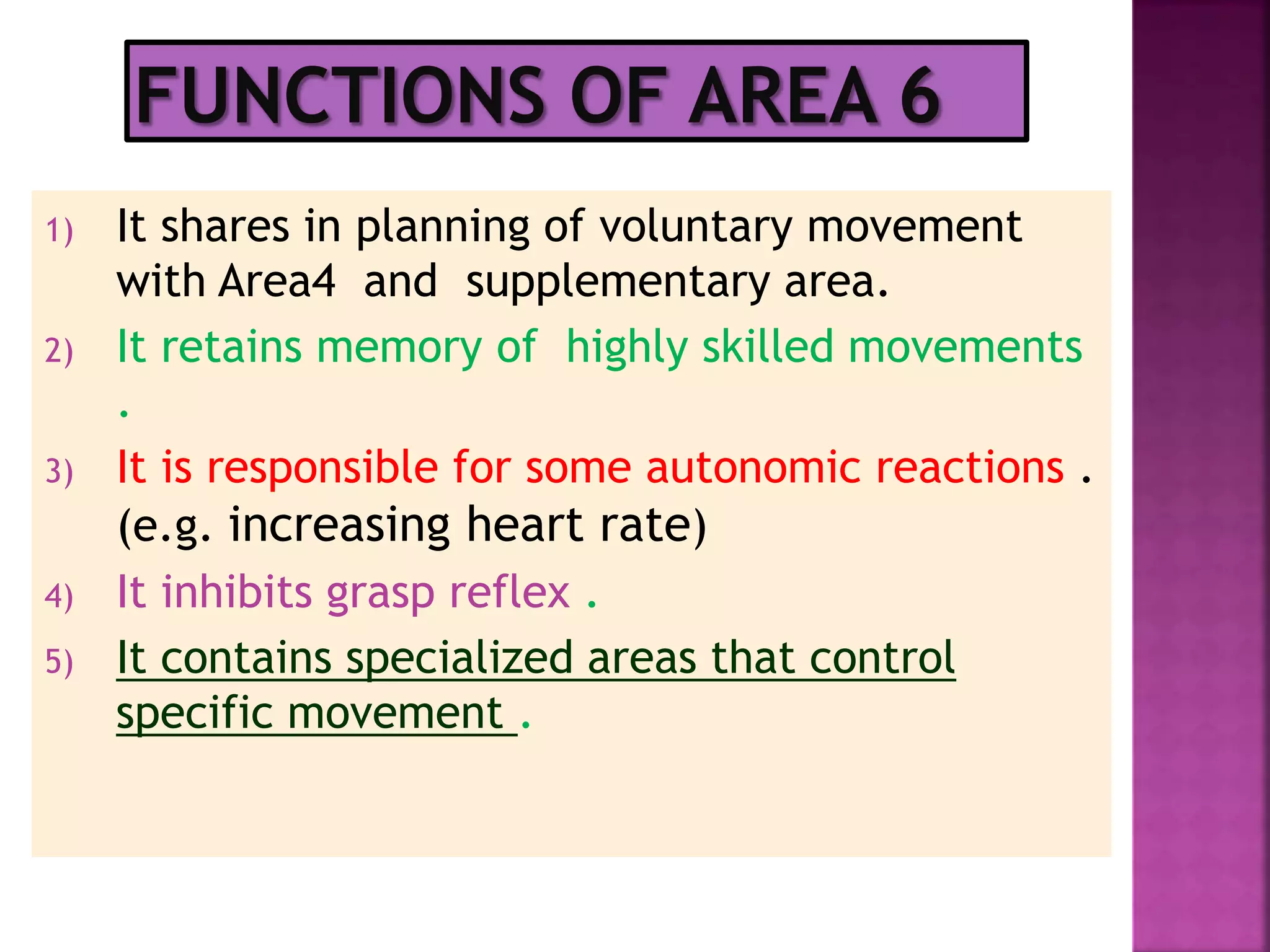 1) It shares in planning of voluntary movement
with Area4 and supplementary area.
2) It retains memory of highly skilled movements
.
3) It is responsible for some autonomic reactions .
(e.g. increasing heart rate)
4) It inhibits grasp reflex .
5) It contains specialized areas that control
specific movement .
 