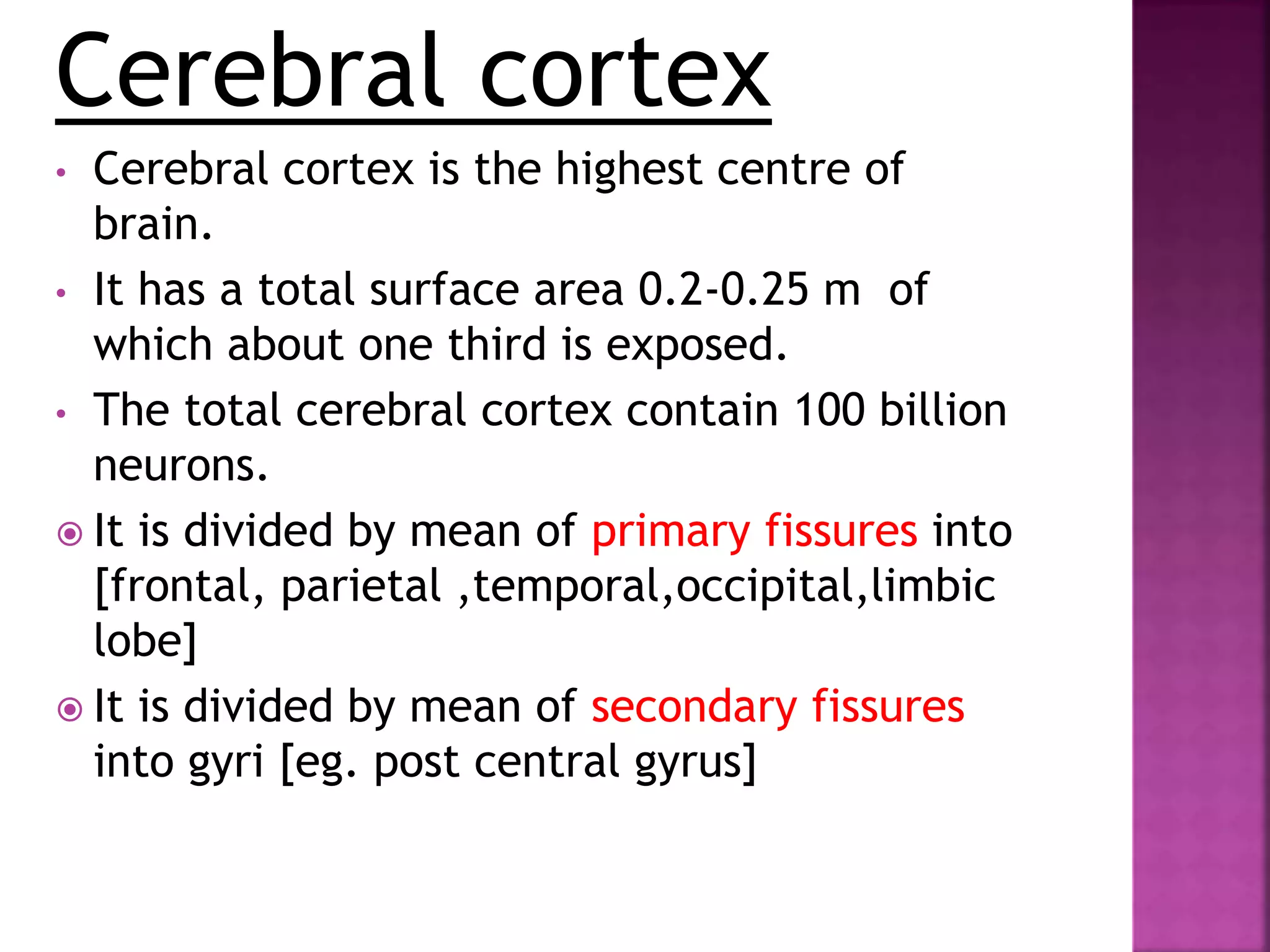 Cerebral cortex
• Cerebral cortex is the highest centre of
brain.
• It has a total surface area 0.2-0.25 m of
which about one third is exposed.
• The total cerebral cortex contain 100 billion
neurons.
 It is divided by mean of primary fissures into
[frontal, parietal ,temporal,occipital,limbic
lobe]
 It is divided by mean of secondary fissures
into gyri [eg. post central gyrus]
 