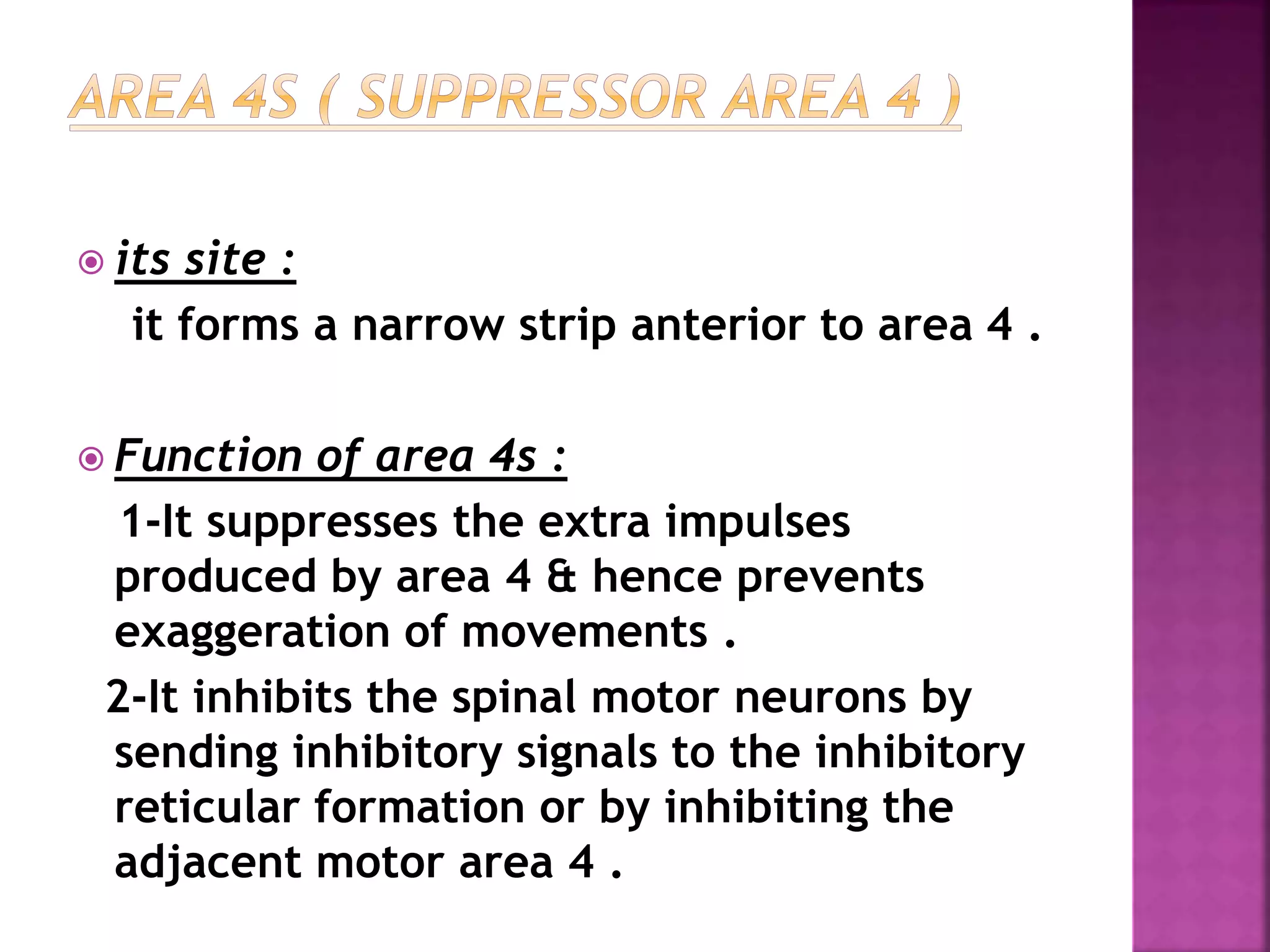  its site :
it forms a narrow strip anterior to area 4 .
 Function of area 4s :
1-It suppresses the extra impulses
produced by area 4 & hence prevents
exaggeration of movements .
2-It inhibits the spinal motor neurons by
sending inhibitory signals to the inhibitory
reticular formation or by inhibiting the
adjacent motor area 4 .
 