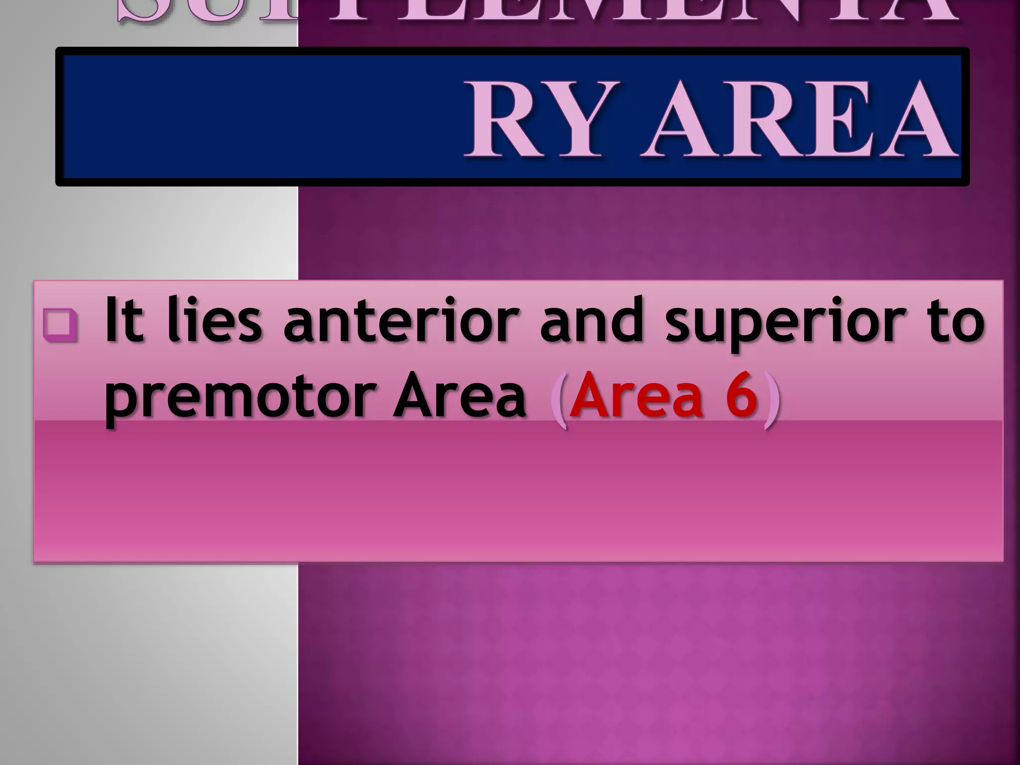  It lies anterior and superior to
premotor Area (Area 6)
 