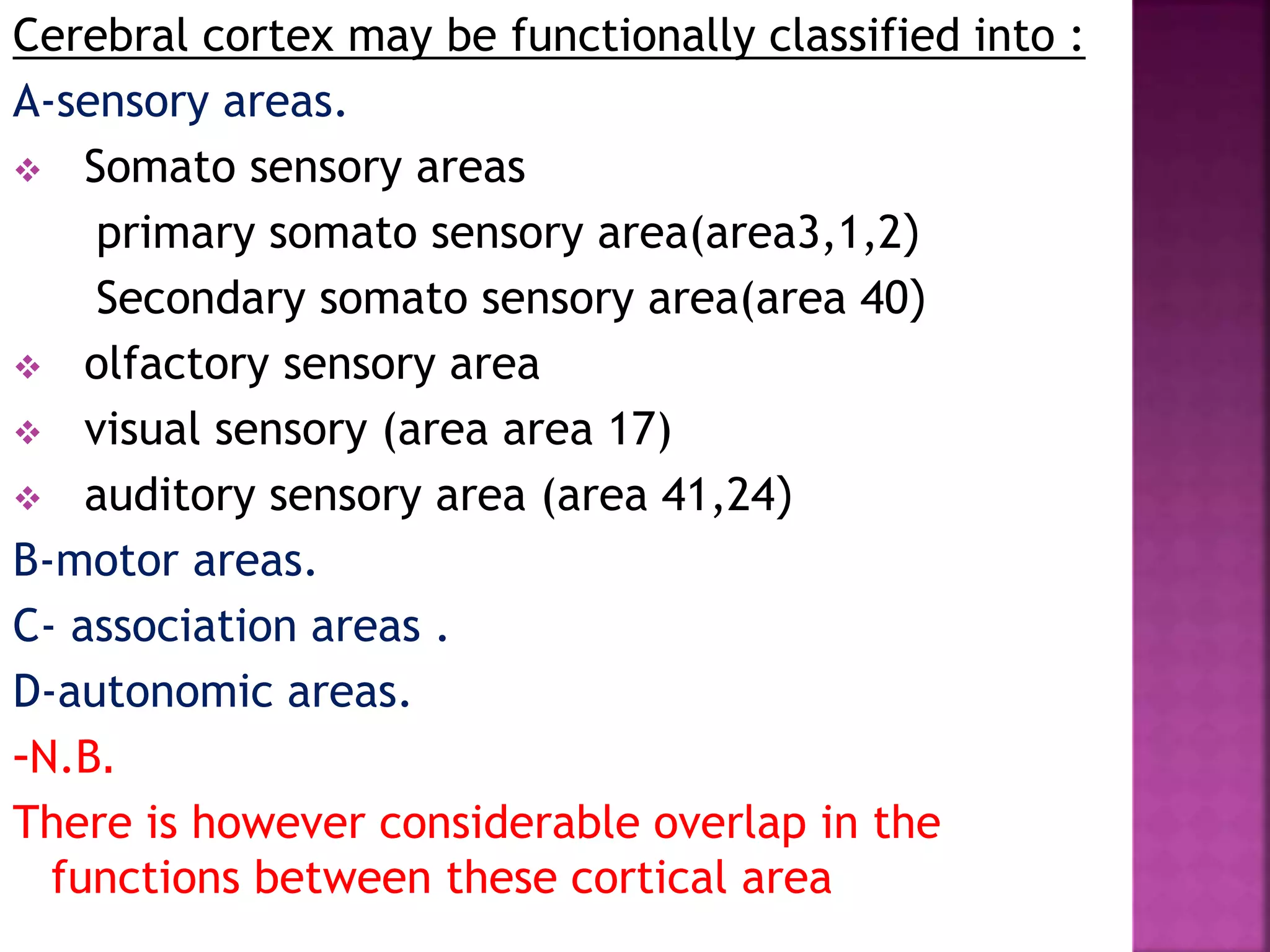 Cerebral cortex may be functionally classified into :
A-sensory areas.
 Somato sensory areas
primary somato sensory area(area3,1,2(
Secondary somato sensory area(area 40(
 olfactory sensory area
 visual sensory (area area 17)
 auditory sensory area (area 41,24(
B-motor areas.
C- association areas .
D-autonomic areas.
-N.B.
There is however considerable overlap in the
functions between these cortical area
 