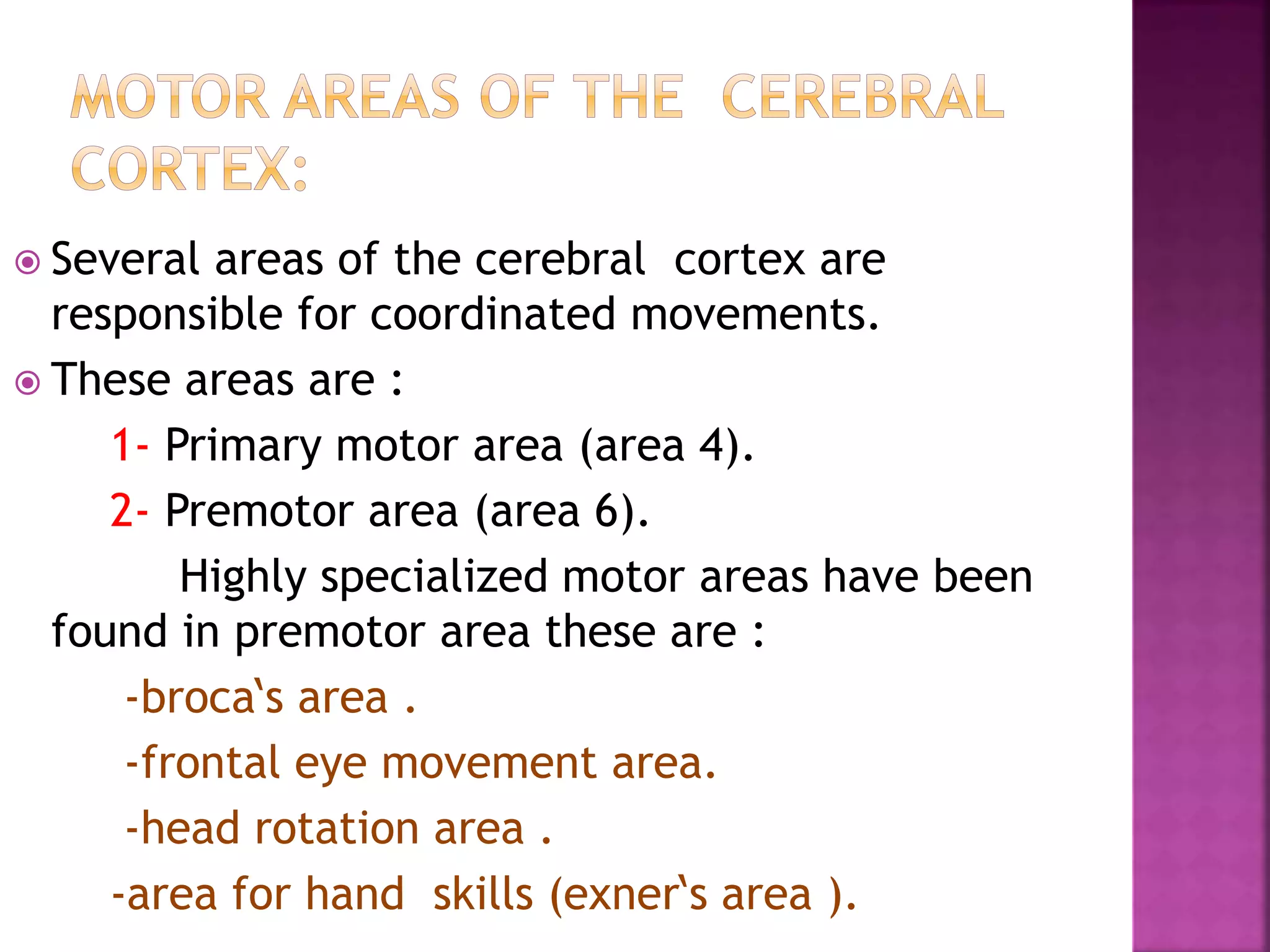 Several areas of the cerebral cortex are
responsible for coordinated movements.
 These areas are :
1- Primary motor area (area 4).
2- Premotor area (area 6).
Highly specialized motor areas have been
found in premotor area these are :
-broca‘s area .
-frontal eye movement area.
-head rotation area .
-area for hand skills (exner‘s area ).
 