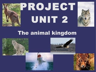 PROJECT
UNIT 2

The animal kingdom

 