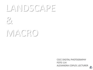 LANDSCAPE  &  MACRO CSCC DIGITAL PHOTOGRAPHY FOTO 114 ALEXANDRA COPLEY, LECTURER 