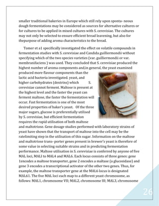26
smaller traditional bakeries in Europe which still rely upon sponta- neous
dough fermentations may be considered as sources for alternative cultures or
for cultures to be applied in mixed cultures with S. cerevisiae. The cultures
may not only be selected to ensure efﬁcient bread leavening, but also for
thepurpose of adding aroma characteristics to the bread.
Tomer et a1 speciﬁcally investigated the effect on volatile compounds in
fermentation studies with S. cerevisiae and Candida guilliermondii without
specifying which of the two species varieties (var. guilliermondii or var.
membranifaciens ) was used. They concluded that S. cerevisiae produced the
highest number of aroma components and,in general, the yeast examined
produced more ﬂavour components than the
lactic acid bacteria investigated. yeast, and
higher carbohydrates (dextrins) which S.
cerevisiae cannot ferment. Maltose is present at
the highest level and the faster the yeast can
ferment maltose, the faster the fermentation will
occur. Fast fermentation is one of the most
desired properties of baker’s yeast. Of the three
major sugars, glucose is preferentially utilised
by S. cerevisiae, but efﬁcient fermentation
requires the rapid utilisation of both maltose
and maltotriose. Gene dosage studies performed with laboratory strains of
yeast have shown that the transport of maltose into the cell may be the
ratelimiting step in the utilisation of this sugar. Information on the maltose
and maltotriose trans- porter genes present in brewer’s yeast is therefore of
some value in selecting suitable strains and in predicting fermentation
performance. Maltose utilisation in S. cerevisiae is conferred by anyone of ﬁve
MAL loci, MALI to MAL4 and MAL6. Each locus consists of three genes: gene
1encodes a maltose transporter, gene 2 encodes a maltase (a glucosidase) and
gene 3 encodes a transcriptional activator of the other two genes. Thus, for
example, the maltose transporter gene at the MAL6 locus is designated
MAL61. The ﬁve MAL loci each map to a different yeast chromosome, as
follows: MAL1, chromosome VII; MAL2, chromosome III; MAL3, chromosome
 