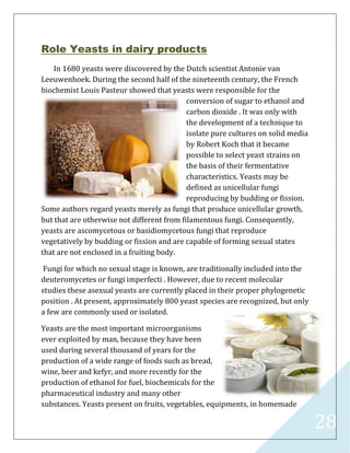 28
Role Yeasts in dairy products
In 1680 yeasts were discovered by the Dutch scientist Antonie van
Leeuwenhoek. During the second half of the nineteenth century, the French
biochemist Louis Pasteur showed that yeasts were responsible for the
conversion of sugar to ethanol and
carbon dioxide . It was only with
the development of a technique to
isolate pure cultures on solid media
by Robert Koch that it became
possible to select yeast strains on
the basis of their fermentative
characteristics. Yeasts may be
defined as unicellular fungi
reproducing by budding or fission.
Some authors regard yeasts merely as fungi that produce unicellular growth,
but that are otherwise not different from filamentous fungi. Consequently,
yeasts are ascomycetous or basidiomycetous fungi that reproduce
vegetatively by budding or fission and are capable of forming sexual states
that are not enclosed in a fruiting body.
Fungi for which no sexual stage is known, are traditionally included into the
deuteromycetes or fungi imperfecti . However, due to recent molecular
studies these asexual yeasts are currently placed in their proper phylogenetic
position . At present, approximately 800 yeast species are recognized, but only
a few are commonly used or isolated.
Yeasts are the most important microorganisms
ever exploited by man, because they have been
used during several thousand of years for the
production of a wide range of foods such as bread,
wine, beer and kefyr, and more recently for the
production of ethanol for fuel, biochemicals for the
pharmaceutical industry and many other
substances. Yeasts present on fruits, vegetables, equipments, in homemade
 
