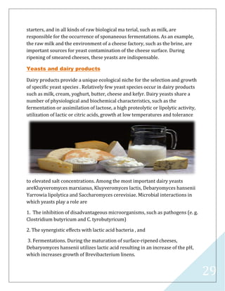 29
starters, and in all kinds of raw biological ma terial, such as milk, are
responsible for the occurrence of sponaneous fermentations. As an example,
the raw milk and the environment of a cheese factory, such as the brine, are
important sources for yeast contamination of the cheese surface. During
ripening of smeared cheeses, these yeasts are indispensable.
Yeasts and dairy products
Dairy products provide a unique ecological niche for the selection and growth
of specific yeast species . Relatively few yeast species occur in dairy products
such as milk, cream, yoghurt, butter, cheese and kefyr. Dairy yeasts share a
number of physiological and biochemical characteristics, such as the
fermentation or assimilation of lactose, a high proteolytic or lipolytic activity,
utilization of lactic or citric acids, growth at low temperatures and tolerance
to elevated salt concentrations. Among the most important dairy yeasts
areKluyveromyces marxianus, Kluyveromyces lactis, Debaryomyces hansenii
Yarrowia lipolytica and Saccharomyces cerevisiae. Microbial interactions in
which yeasts play a role are
1. The inhibition of disadvantageous microorganisms, such as pathogens (e. g.
Clostridium butyricum and C. tyrobutyricum)
2. The synergistic effects with lactic acid bacteria , and
3. Fermentations. During the maturation of surface-ripened cheeses,
Debaryomyces hansenii utilizes lactic acid resulting in an increase of the pH,
which increases growth of Brevibacterium linens.
 