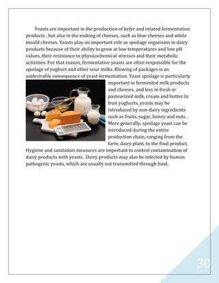 30
Yeasts are important in the production of kefyr and related fermentation
products , but also in the making of cheeses, such as blue cheeses and white
mould cheeses. Yeasts play an important role as spoilage organisms in dairy
products because of their ability to grow at low temperatures and low pH
values, their resistance to physicochemical stresses and their metabolic
activities. For that reason, fermentative yeasts are often responsible for the
spoilage of yoghurt and other sour milks. Blowing of packages is an
undesirable consequence of yeast fermentation. Yeast spoilage is particularly
important in fermented milk products
and cheeses, and less in fresh or
pasteurized milk, cream and butter.In
fruit yoghurts, yeasts may be
introduced by non-dairy ingredients
such as fruits, sugar, honey and nuts .
More generally, spoilage yeast can be
introduced during the entire
production chain, ranging from the
farm, dairy plant, to the final product.
Hygiene and sanitation measures are important to control contamination of
dairy products with yeasts . Dairy products may also be infected by human
pathogenic yeasts, which are usually not transmitted through food.
 
