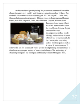 37
In the first few days of ripening, the yeast count on the surface of the
cheese increases very rapidly until it reaches a maximum after 10 days . The
numbers can increase to 106–109 cfu/g or 107–108 cfu/cm2 . There after,
the population remains at a nearly different types of cheese such as Cheddar,
Gouda, Danablu, Roquefort, Tilsit, Tête de Moine, Gruyère, Münster, Brie,
Camembert and many others
are listed. The composition of
the yeast flora of young cheese
seems to be rather
heterogeneous and de-pends
strongly on the cheese plant in
which it has beenproduced . In
the cheese prior to brining,
lactose positive species such as
K. lactis, K. marxianus and T.
delbrueckii are pre- dominant. These species most probably also contribute to
the characteristic open texture of blue-veined cheeses. The technology of
cheese ripening also has an impact on the composition of the yeast flora.
 